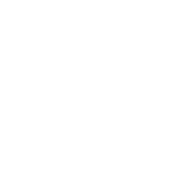 udt